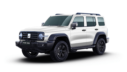 Tank 300 City Adventure 2.0T 4WD 8AT (220 л.с.) PY25 MY22